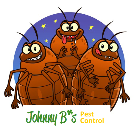 4 Yard Tips To Keep Pests Out | Johnny B’s Pest Control