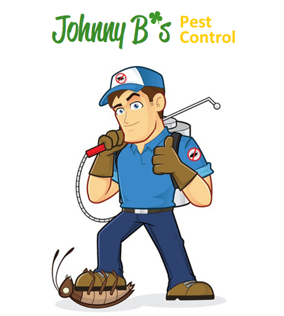 5 Summer Pest Tips | Johnny B’s Pest Control